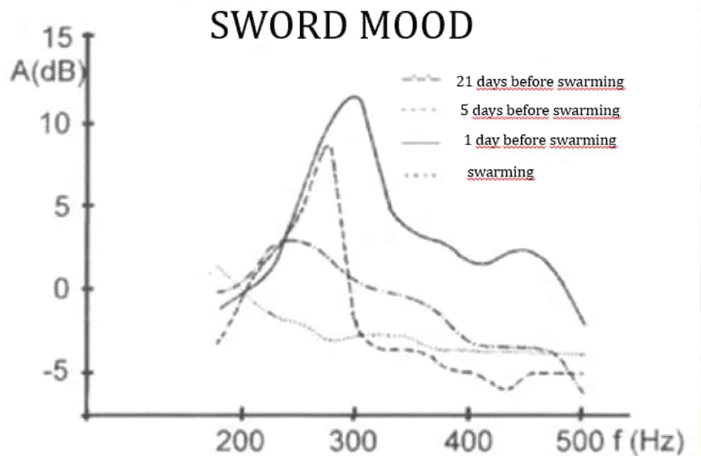 Cœur de ruche – Image 8