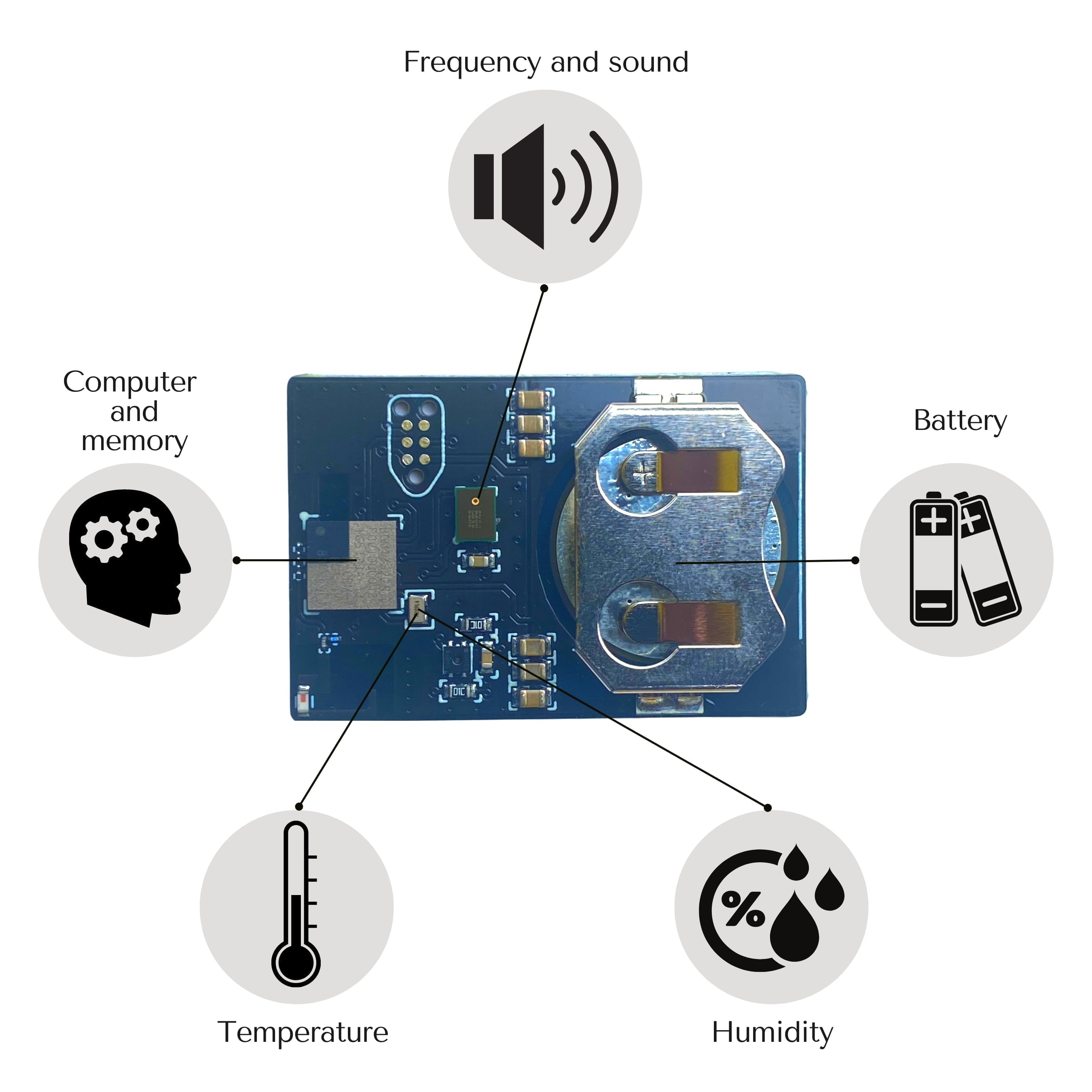 Bee hive monitoring – Image 10