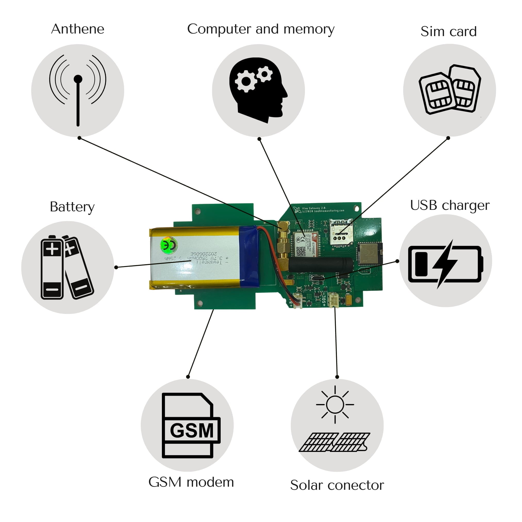 Bee hive monitoring – Image 12