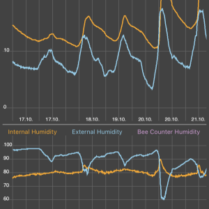 Bee hive monitoring