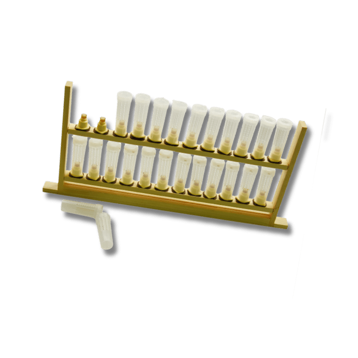 Marco de cría de la abeja reina