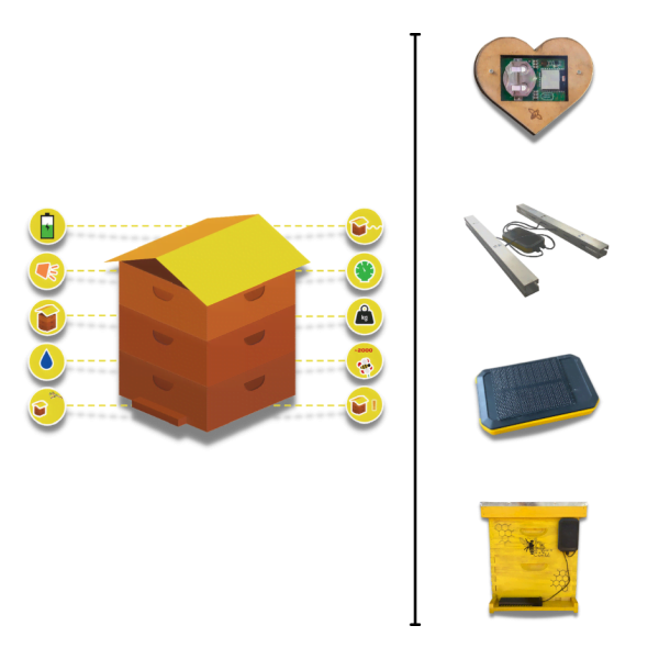 bee hive monitoring