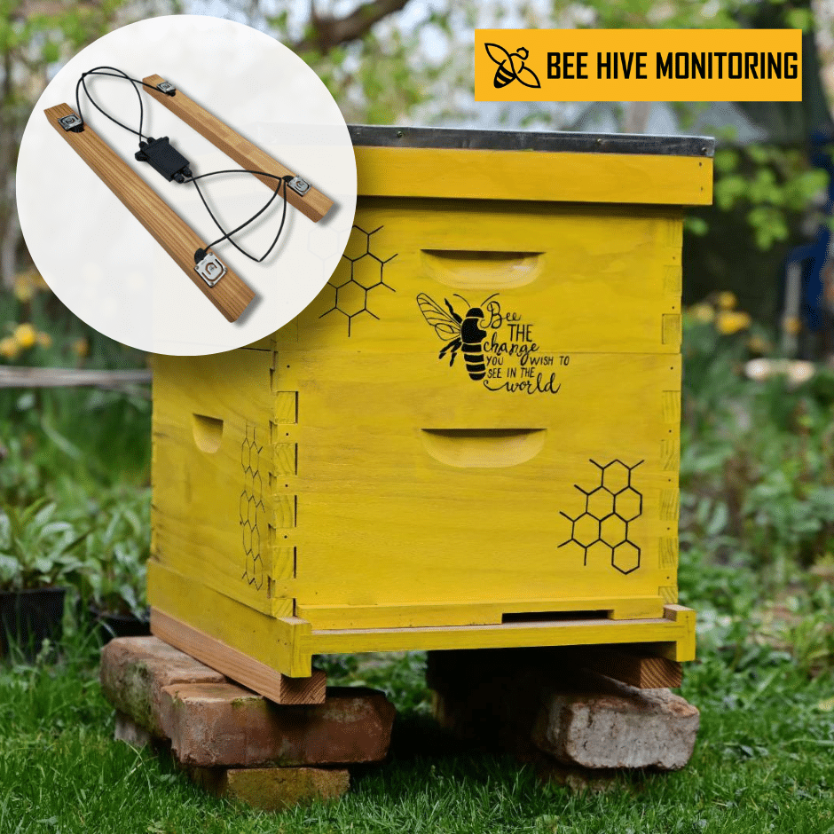 Bee hive monitoring – Image 2