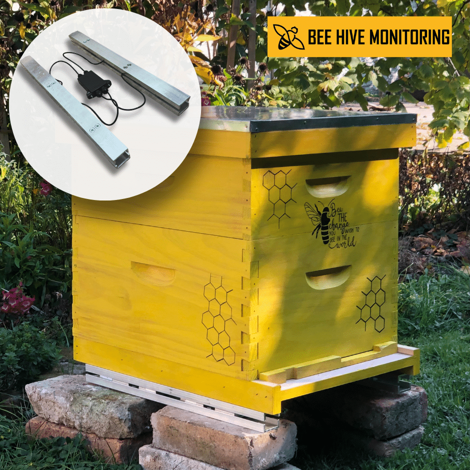 Bee hive monitoring – Image 4